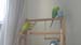 20190511_140828
