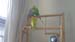 20190511_140846