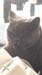 IMG-20210503-WA0019
