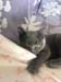 IMG-20210503-WA0025
