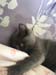 IMG-20210503-WA0029