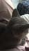 IMG-20210503-WA0030