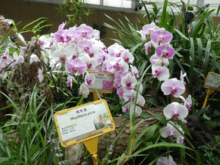 IMGP1188