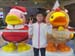 20161111_140209_HDR