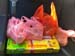 IMG-20161115-WA0008