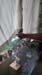 20181125_122325(1)
