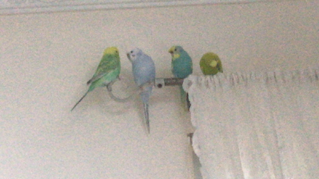 IMG-20201212-WA0002
