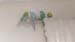 IMG-20201212-WA0002