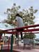 IMG-20221111-WA0008