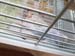 IMG-20221010-WA0005