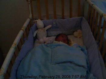 webcam080228_02