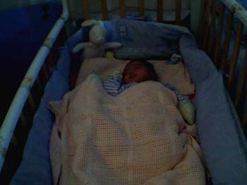 webcam080331_01