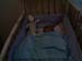 webcam080228_01