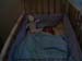 webcam080228_02