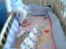 webcam080331_03